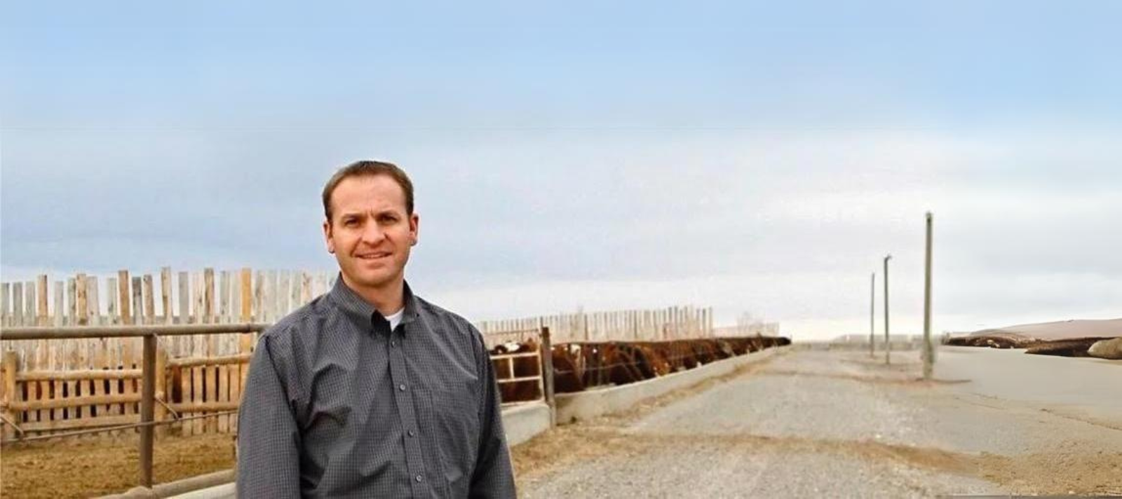 Calves from vaccinated dams did better in the feedlot